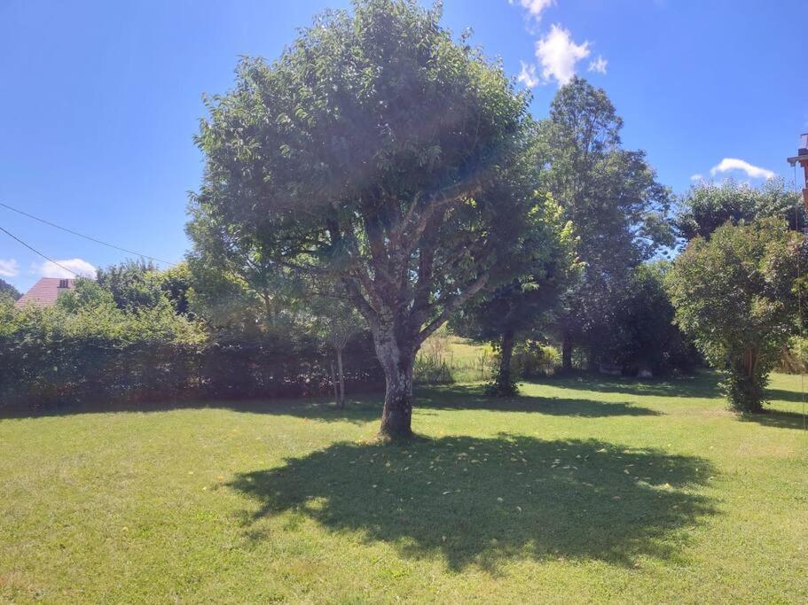 Appartement En Rez-De-Jardin Autrans-Meaudre-en-Vercors Εξωτερικό φωτογραφία