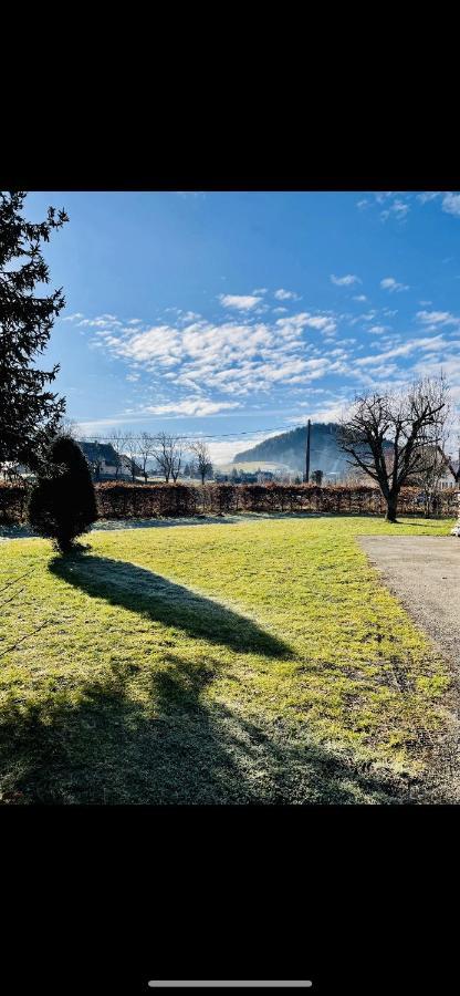 Appartement En Rez-De-Jardin Autrans-Meaudre-en-Vercors Εξωτερικό φωτογραφία